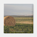 Search for bale magnets Agriculture
