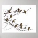 Search for cedar art Animals