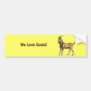 Search for goats bumper stickers Caprine