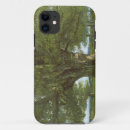 Search for environmental cases Europe