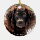 Search for boykin spaniel christmas tree decorations Pet