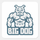 Search for muscular stickers Bodybuilding