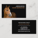 Search for horse teacher office school Customer