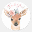 Search for woodland deer stickers Forest animals