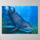Search for underwater scene posters Marine life