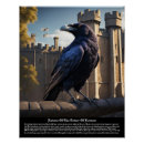 Search for raven posters Bird