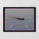 Search for minnesota postcards Lakes