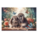 Search for lop posters Cute