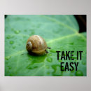 Search for snail posters Cute animals