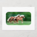 Search for palominos invitations Horse