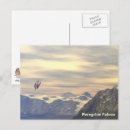 Search for falcon postcards Nature