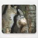 Search for two sided mousepads Wildlife
