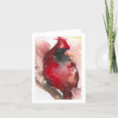 Search for cardinal thank you cards Watercolor