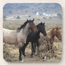 Search for bob coasters Horse