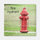 Search for hydrants For kids