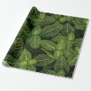 Search for pot leaf wrapping paper Plant
