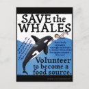 Search for orca the whale postcards Save the whales