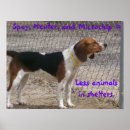 Search for spayed posters Animals