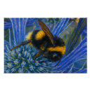 Search for wildlife posters Nature photography