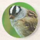 Search for beaks barware Feathers