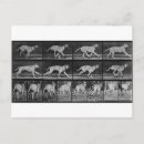 Search for 707 Muybridge