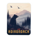 Search for vintage bear magnets Mountains