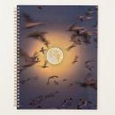 Search for apache office supplies Bosque del apache