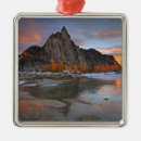 Search for cascades christmas tree decorations Scenic
