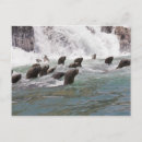 Search for body shape postcards Animal head
