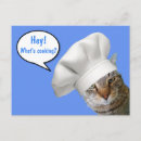 Search for cooking chef postcards Cat