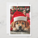 Search for dog christmas invitations Cute animal