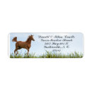 Search for cow print return address labels Ranch