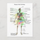 Search for physiology postcards Human