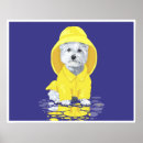Search for westie art Animals
