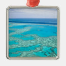 Search for queensland christmas tree decorations Whitsunday coast