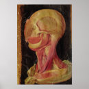 Search for human head posters Anatomy
