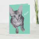Search for big get well cards Feel better