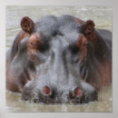 Search for hippo art Tanzania