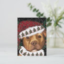 Search for american bully cards Staffordshire terrier bully