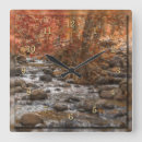 Search for autumn clocks Forest