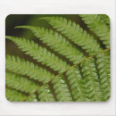 Search for ecuador mousepads Pete oxford