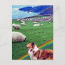 Search for flock of sheep postcards Dog