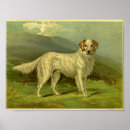 Search for setter painting posters White