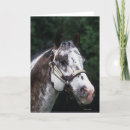 Search for headshot cards Horse