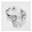 Search for staffordshire bull terrier art Puppy
