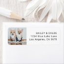 Search for dog return address labels Animal lover