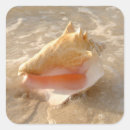 Search for beach sand stickers Coast