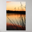 Search for reed posters Lake
