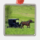 Search for amish christmas tree decorations Buggy