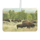 Search for animal car air fresheners Mammal